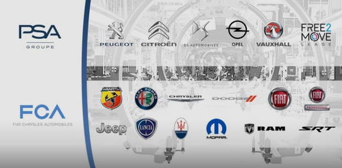 化妆品批发新路径 开拓多元市场，提升品牌韧性