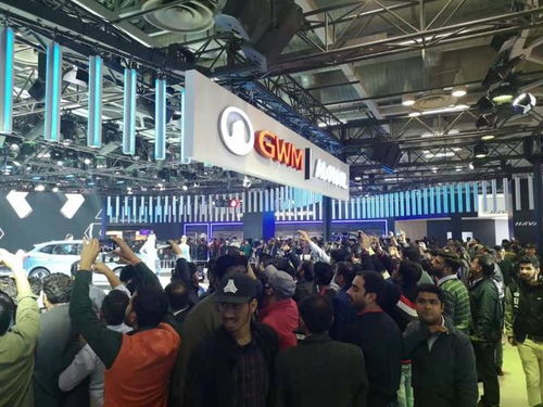 中国品牌扬帆出海，长城汽车领军组团进军印度市场